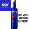SKYY VODKA INFUSIONS - RASPBERRY - Botella 700 cc
